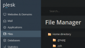 Plesk-File-Manager.png