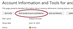 Screenshot 2025-06-17 at 10-47-30 Account Information and Tools for another-domain.com - Plesk...png