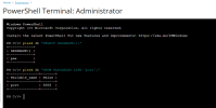 windows-plesk.png