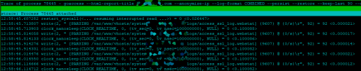 goaccess-issue2.png