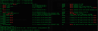 IXXO-2026-10-29-20-41-43.png