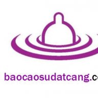 baocaosudangcang