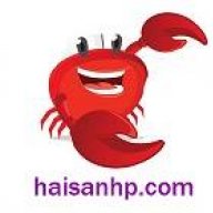 haisanhp