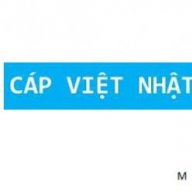 capvietnhat