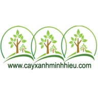 cayxanhminhhieu