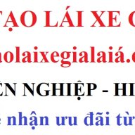daotaolaixegialaia