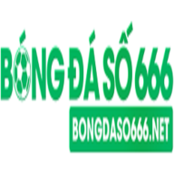 bongdaso666