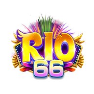 Rio66vn