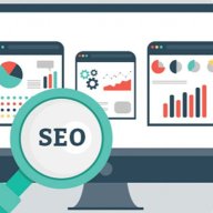 dvseoguestpost