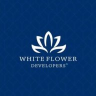 whiteflower01