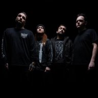 signsoftheswarmmerch