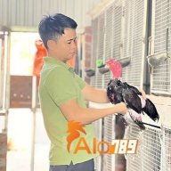 nguyenhuucanh