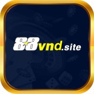 88vndsite