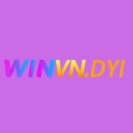 winvndiy