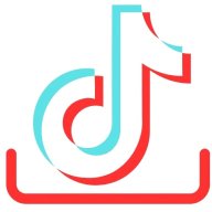 Download TikTok Video