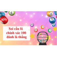 soicaulochinhxac100