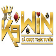 k9wincity