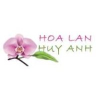 hoalanhuyanh1