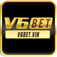 v6beetvin