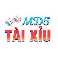 taixiumd5club1