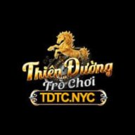 tdtcnyc