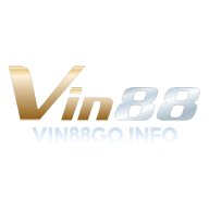 vingoinfo