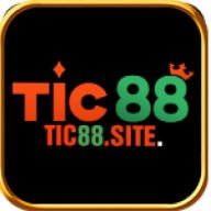 ticsite