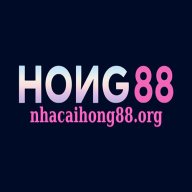 nhacaihongorg