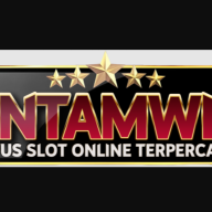 antamwincom