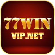 winvipnet