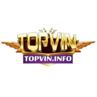 gametopvininfo