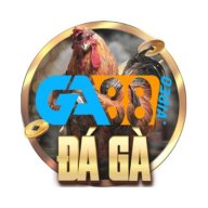 gavideo1