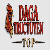 dagatructuyentop2025