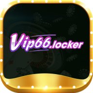 vip66locker