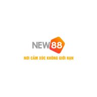 newvnnewss