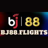 bjflights