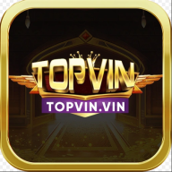 topvinvin