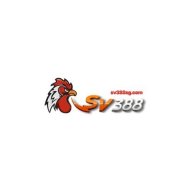 sv3sgcom