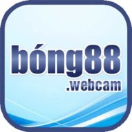 bongwebcam
