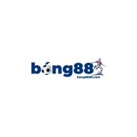bongvn1