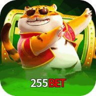 255report