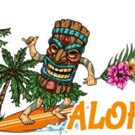 miamidolphinshawaiian