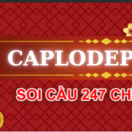 soicaucaplodep