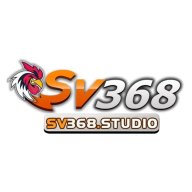 svstudio