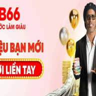 mb66law1