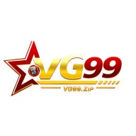 vg99ziptop