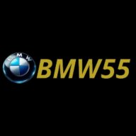 bmw55phnet