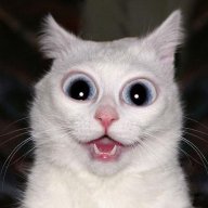 misterxis