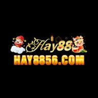 haytamtam56com