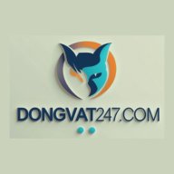 dongvatcom